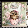 Cute Owl Mini Kit