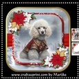 Dog In The Snow Kit 2