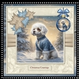 Dog In The Snow Kit 4