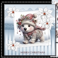 Cute Christmasr Bear Mini Kit