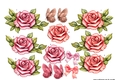 Step By Step Roses, Butterflies and Bows