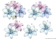 Step By Step Pastel Lilies