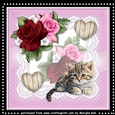 Romantic Roses & Cute Kitten Mini Kit