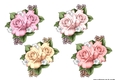 Roses Vignette