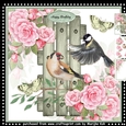 Birdsong Mini Kit