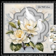 Dove and Magnolias