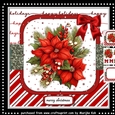 Perfect Poinsettias Mini Kit