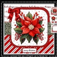 Poinsettia Beauty Mini Kit