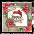 Purrrfect Christmas Mini Kit