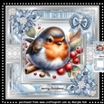 Robin´s Christmas Mini Kit