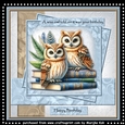 Mini Kit A wise owl