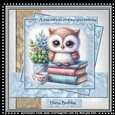 Mini Kit Cute Owl