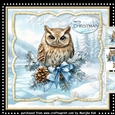 Winter OWL Mini Kit