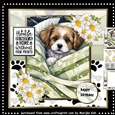 Paw Prints Mini Kit