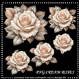 Cream Roses PNG