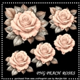 Peach Roses PNG