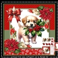 Christmas Puppy