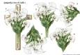 Step By Step Sympathy Cross & Calla´s