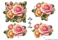 Step By Step Vintage Roses
