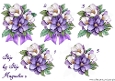 Step By Step Bow & Magnolia´s