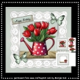 Watering Can Tulips Mini Kit