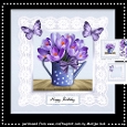 Wateringcan Crocusses Mini Kit