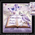 Little Bird Mini Kit
