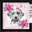 Cute Puppy Pink Bow Mini Kit
