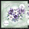 Magnolia Beauty Mini Kit