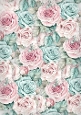    A4  Pastel Roses