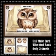 Male Card Wise Owl Book Mini Kit