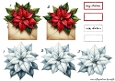 Step By Step Poinsettias