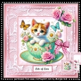 Cute Kitten Mini Kit
