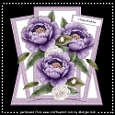 Shaped Card Topper Purple Peonies 8x8 Mini Kit