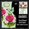 Floral Shaped Card Daisies Mini Kit