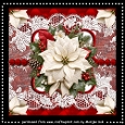 Perfect Poinsettia    Mini Kit