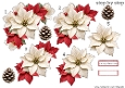 Step by Step Christmas Flowers