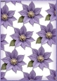 A4 Purple Clematis Flowers