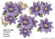 Step by Step Corner Vignette Clematis flowers