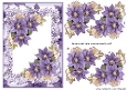 5X7 Quick card Clematis flowers