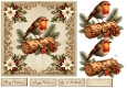 Quick Card Vintage Robin 7x7