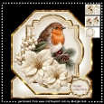 Robin & Poinsettia´s