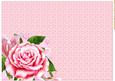 A4 Pink Roses Background