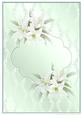 A4 Background Lilies