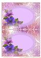 Insert Petunia Beauty2