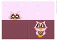 Insert New Home Owlhouse