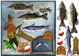 Male Card Gone Fishing 2