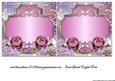 Insert Special English Roses