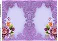 Insert English Roses and Butterflies