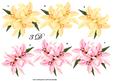 3 D Lilies
